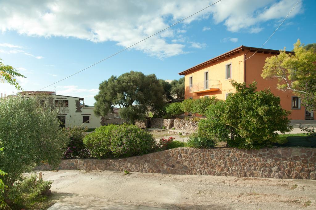 Artemisia Sardegna Tergu Quarto foto